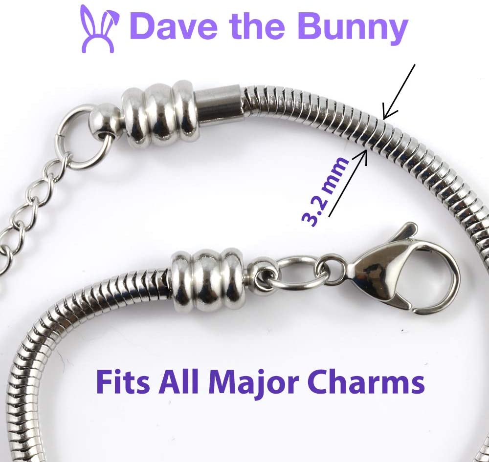 Emerald Park Jewelry Tooth Bracelet | Stainless Steel Snake Chain Charm Bracelet